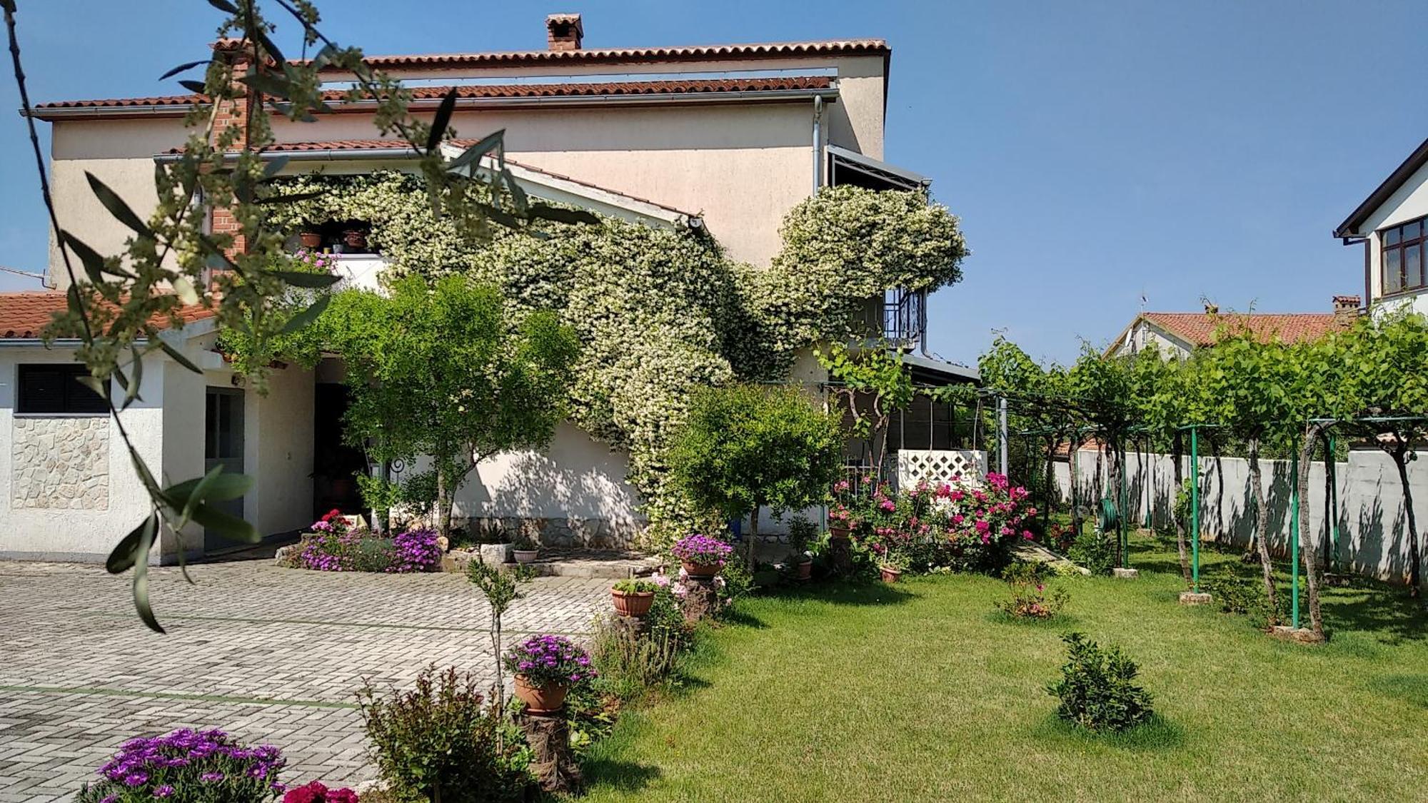 Appartement Sasa Bozac *